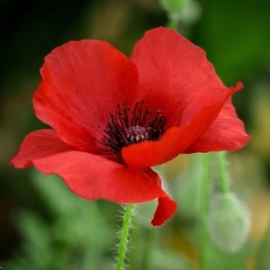 Meet your Posher, Kristina